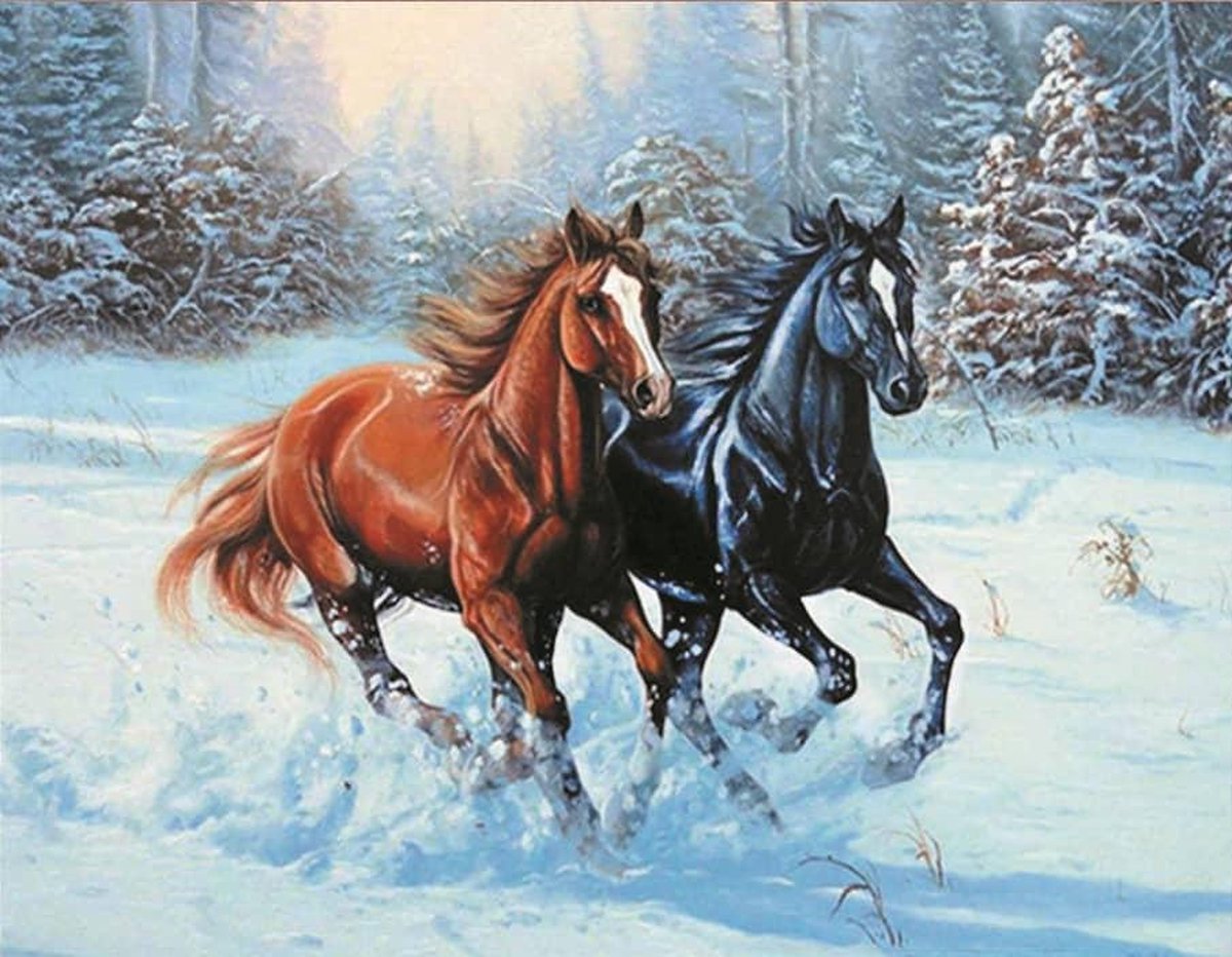 Paarden in Sneeuw - Diamond Painting 50x40 cm | Eagle Arts™